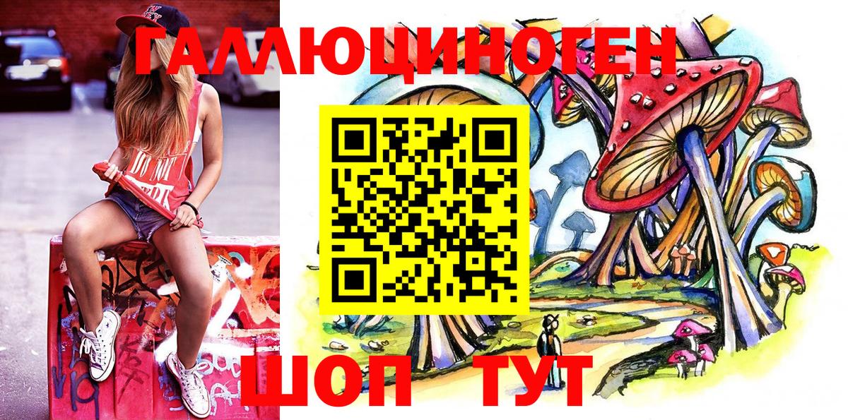 Галлюциногенные грибы Psilocybe  Псилоцибиновые грибы мухоморы  Осинники  Вход с VPN 